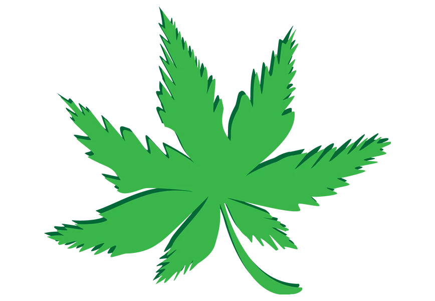 Free Premium PNG Vertical Cannabis leafs transparent background