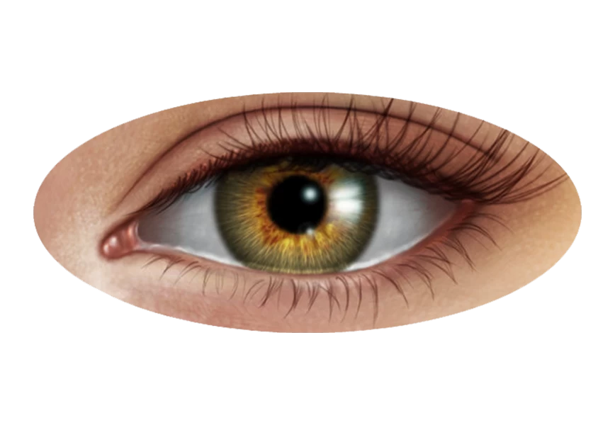 Free Premium PNG Vertical closeup shot of an elderly human's light blue eye PNG