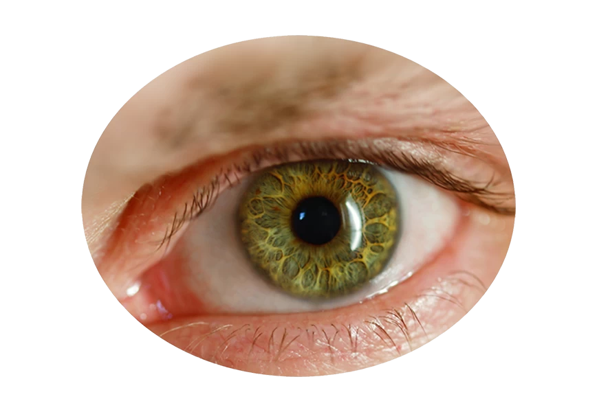 Free Premium PNG Vertical closeup shot of an elderly human's light eye PNG