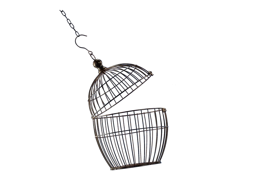 Free Premium PNG Vintage bird cage isolated on transparent background