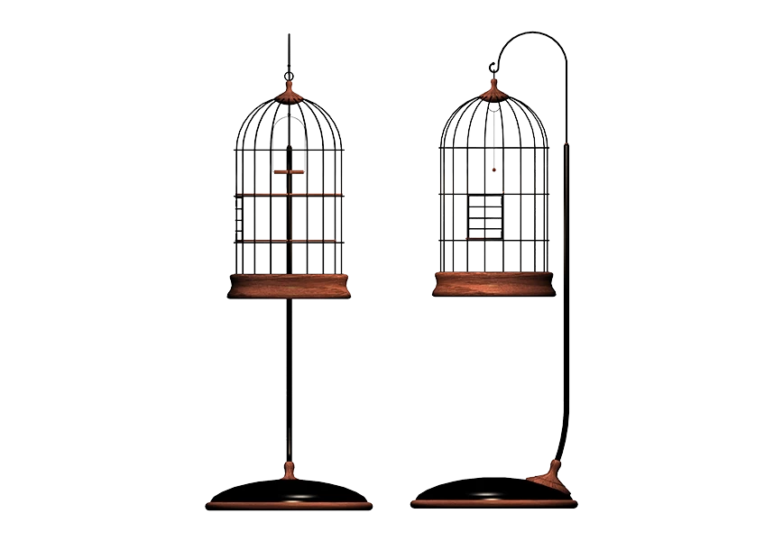 Free Premium PNG Vintage bird cage isolated on  transparent background
