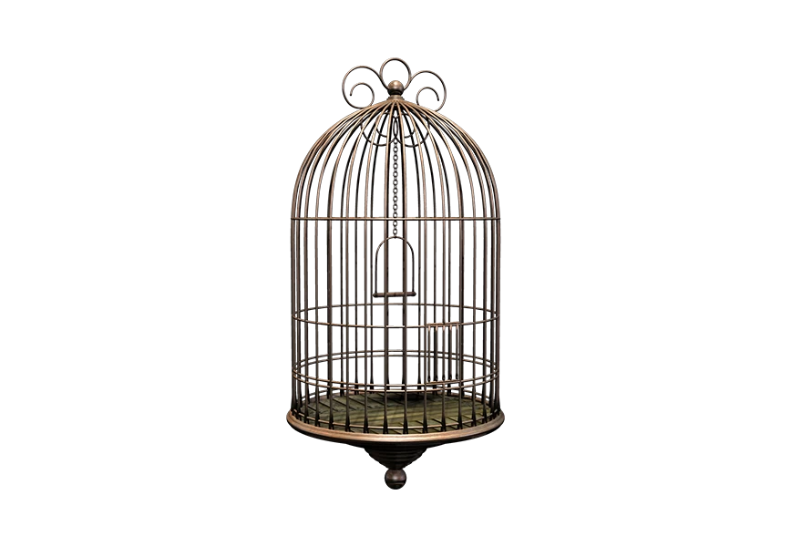 Free Premium PNG Vintage metal bird cage with door open isolated on  transparent background