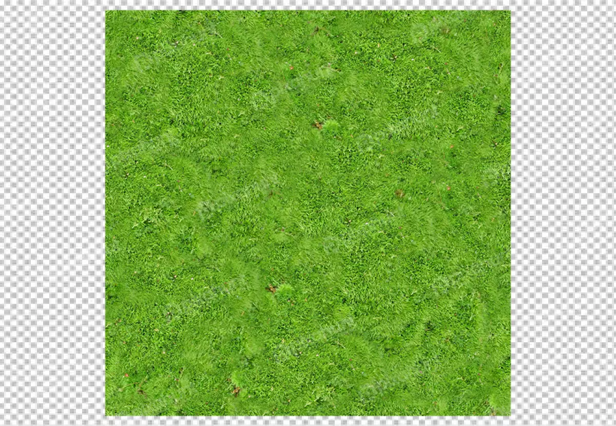 Free Premium PNG wall mat carpet texture realistic transparent background 