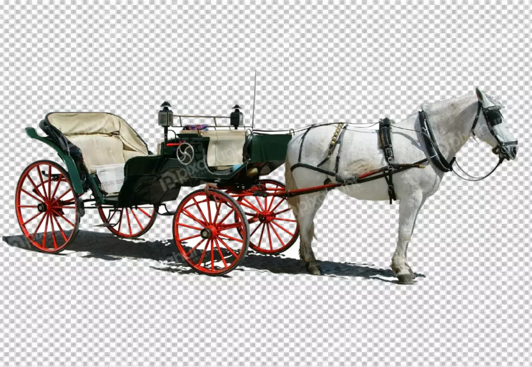 Free Premium PNG White black color classic carriage with horse transparent background 