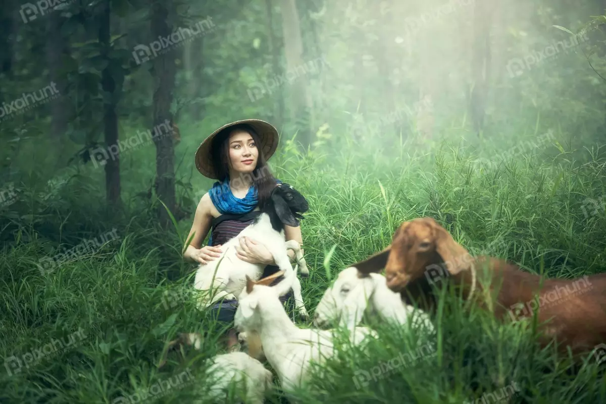 Free Premium Stock Photos Woman in a rural setting and wearing a traditional Vietnamese hat and is sitting in a field of tall grass also surrounded by goats and has one in her arms