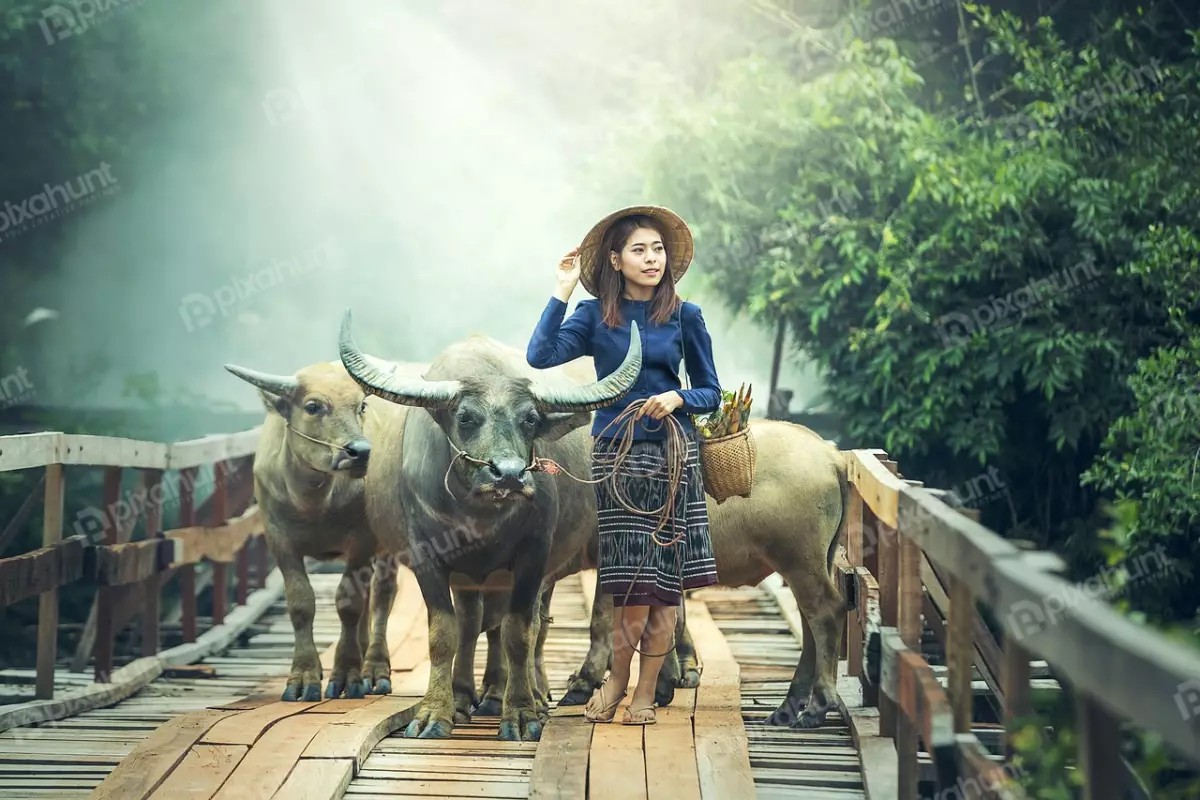 Free Premium Stock Photos Woman in a traditional Vietnamese dress, standing on a wooden bridge in a rural setting