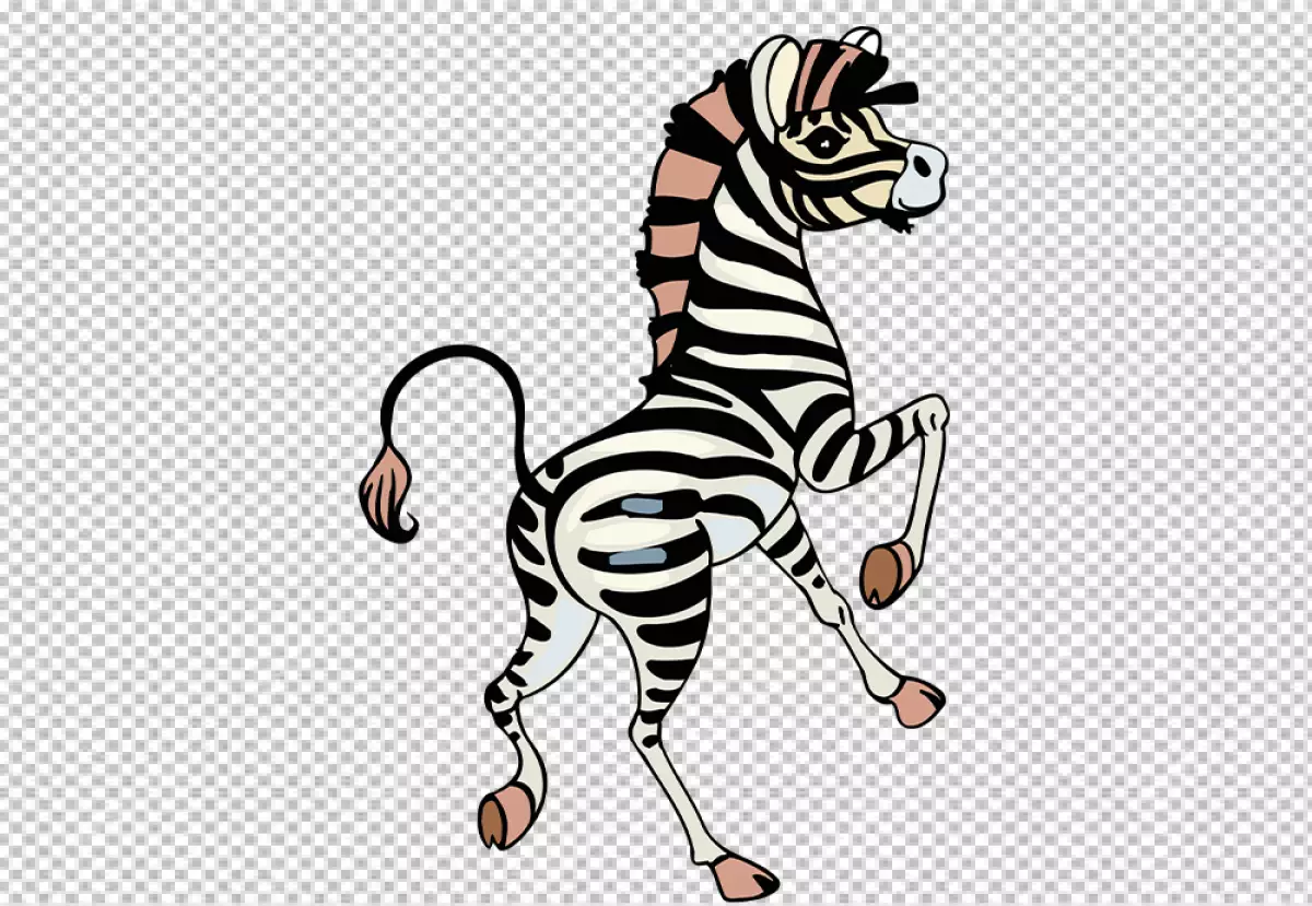 Free Premium PNG Zebra is standing on its hind legs, with its front legs in the air
