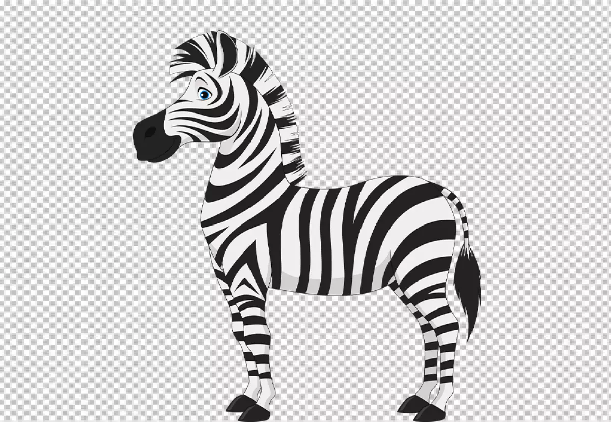 Free Premium PNG Zebra's body is covered in black and white stripes
