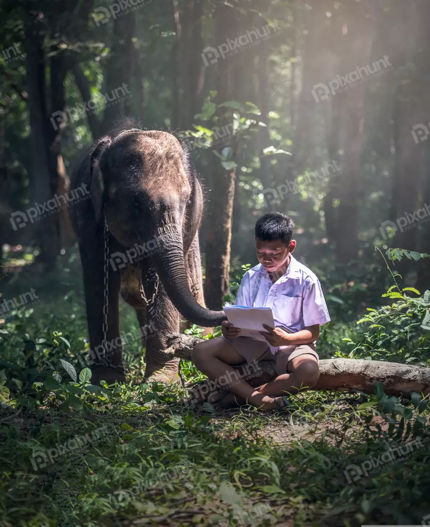 Free Premium Stock Photos A photograph of a boy sitting on a log in a forest and boy is wearing a school uniform and is reading a book