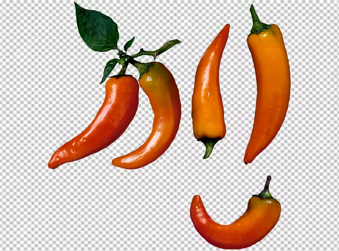 Free Premium PNG Macro shot of a paprika pepper isolated on transparent background PNG