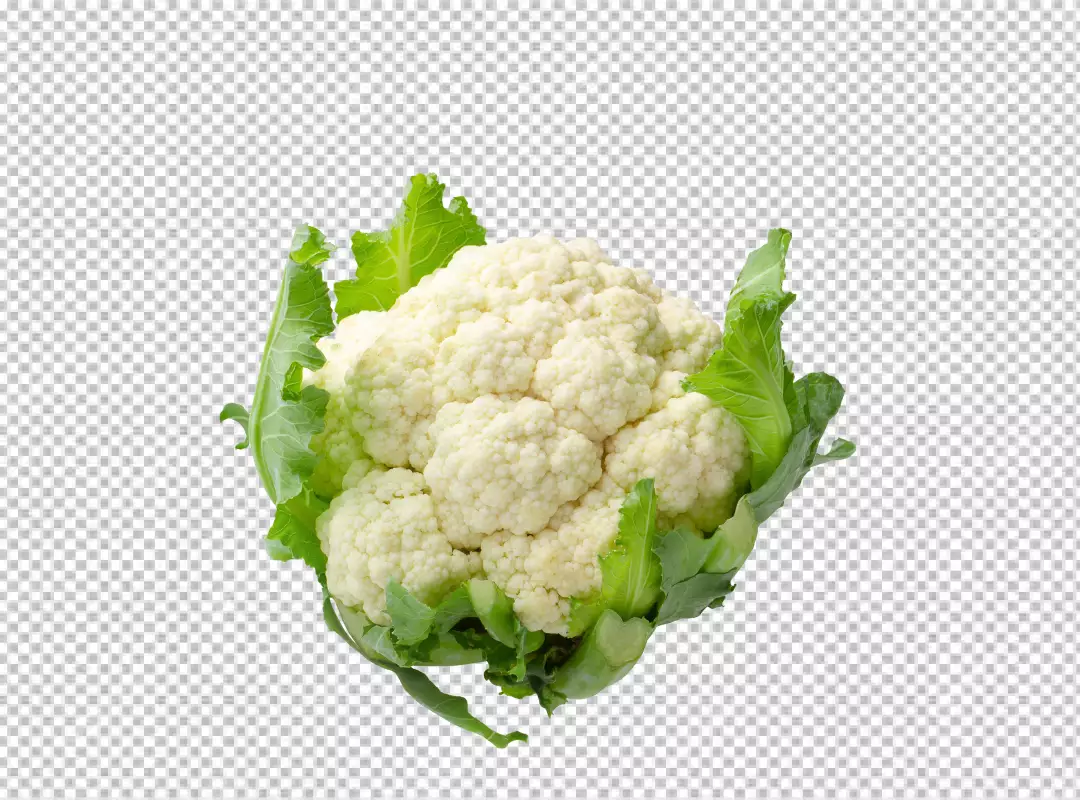 Free Premium PNG Fresh Cauliflower PNG Download, High-Quality Graphics for Your Designs