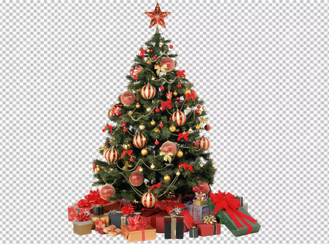 Free Premium PNG Christmas tree on PNG BG