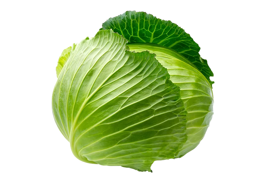 Free Premium PNG Cabbage with transparent background