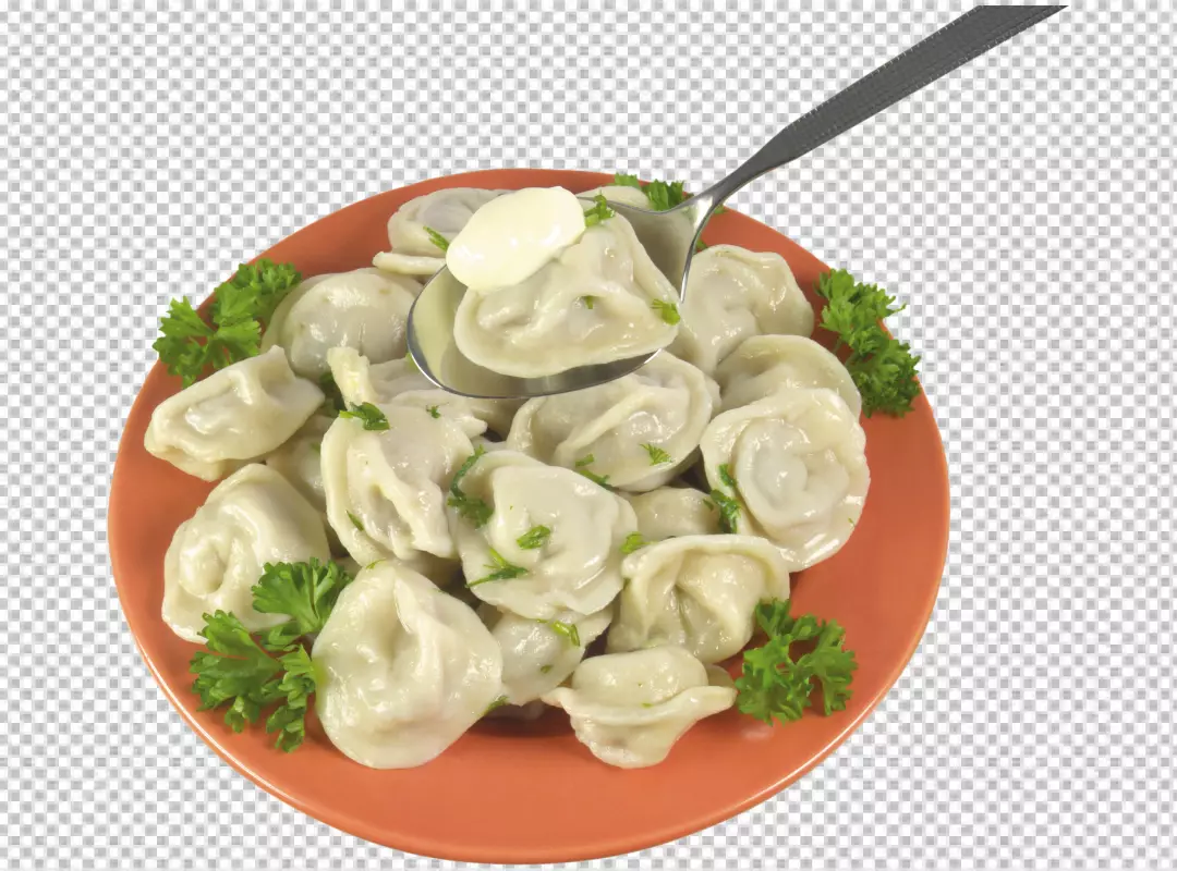 Free Premium PNG dumplings with parsley on png