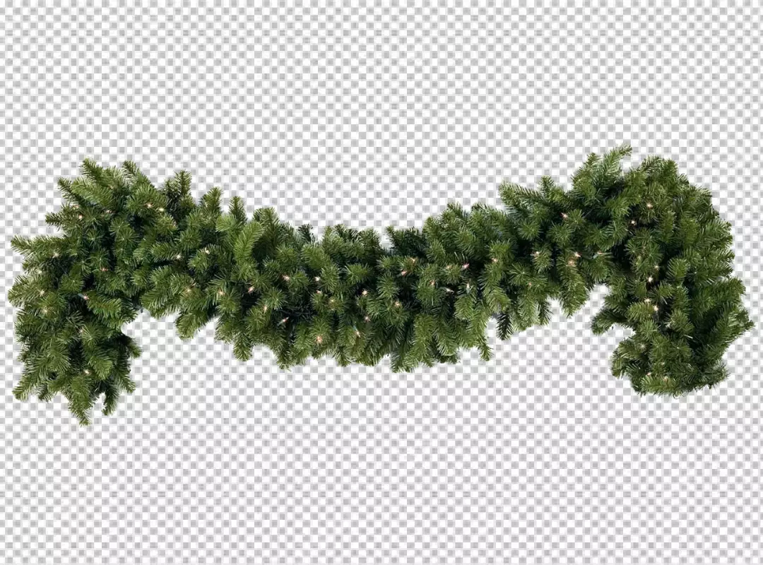 Free Premium PNG Isolated holly sprig covered in snow on transparent