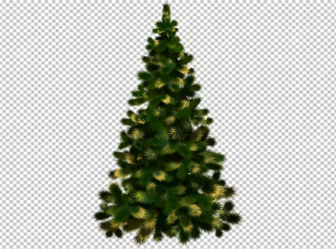 Free Premium PNG Lovely christmas tree collection with realistic design