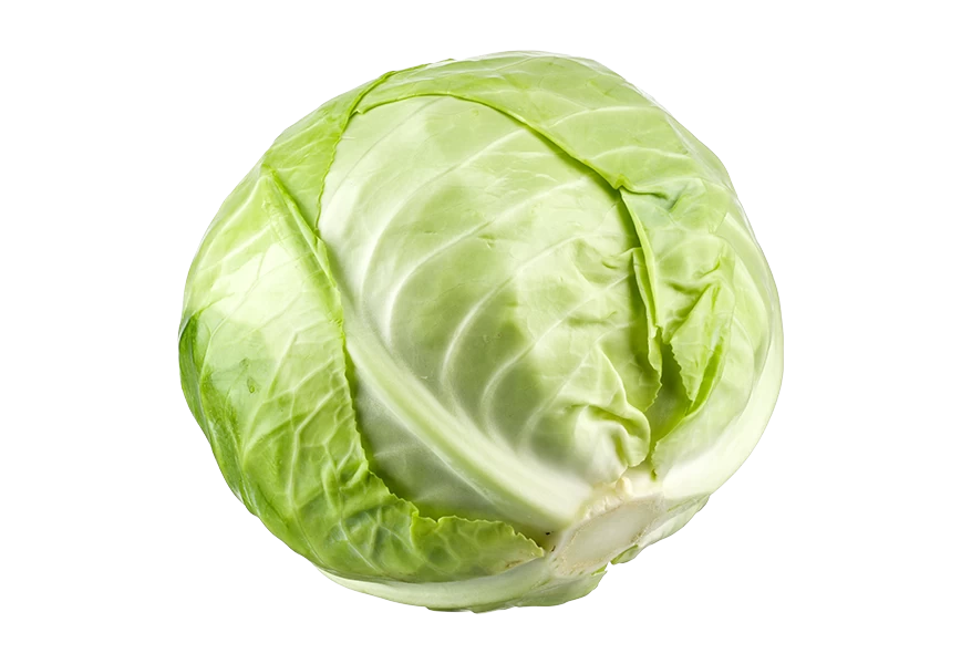 Free Premium PNG Green cabbage head lettuce iceberg transparent background 