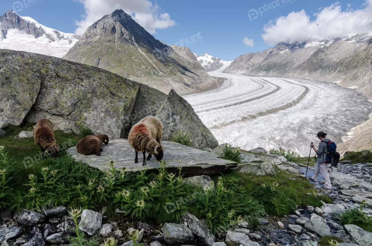 Free Premium Stock Photos slightly elevated position looking down on a mountain valley