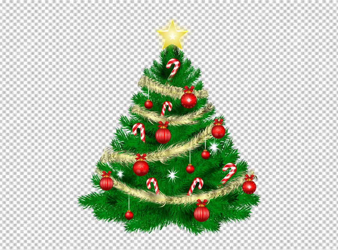 Free Premium PNG Christmas tree on transparent BG