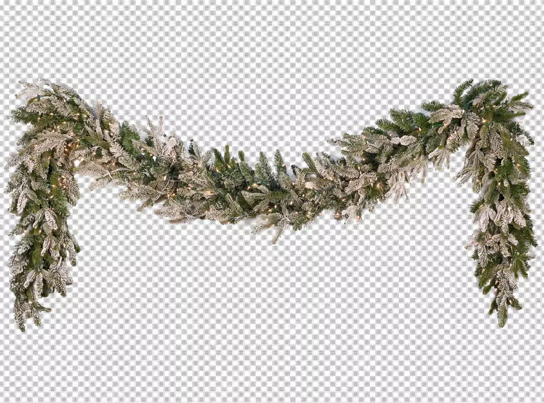 Free Premium PNG Isolated holly sprig covered in snow on transparent background