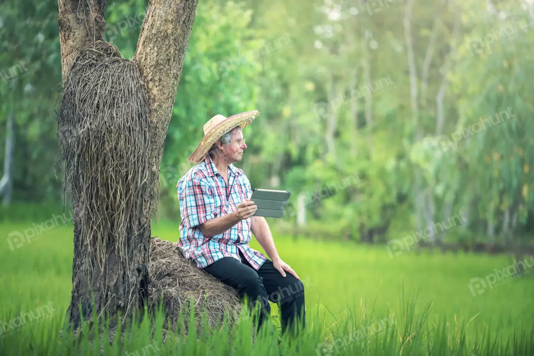 Free Premium Stock Photos Man sitting on a rock in a field, wearing a straw hat and holding a tablet and looking at the tablet and smiling