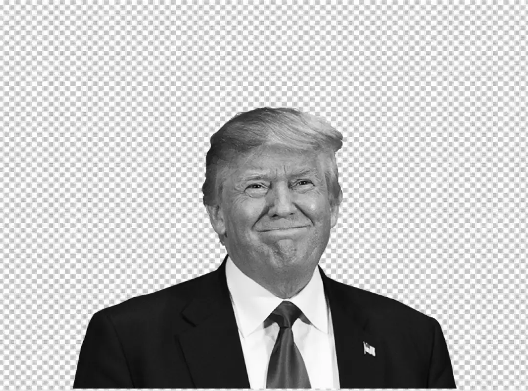 Free Premium PNG US Presidential Donald Trump Election 2016 Black and white png United States