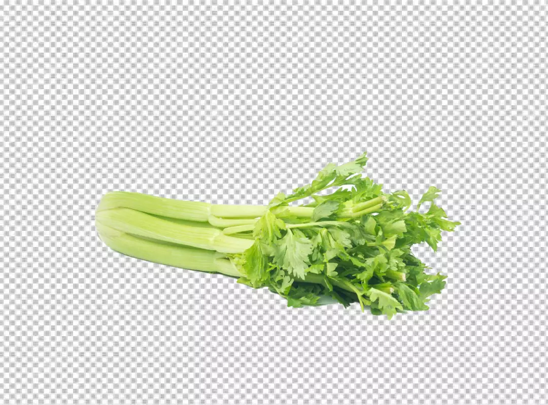 Free Premium PNG Fresh and Healthy Celery Stalks Top View Layout of Delicious Vegetarian Food Isolated on transparent background 