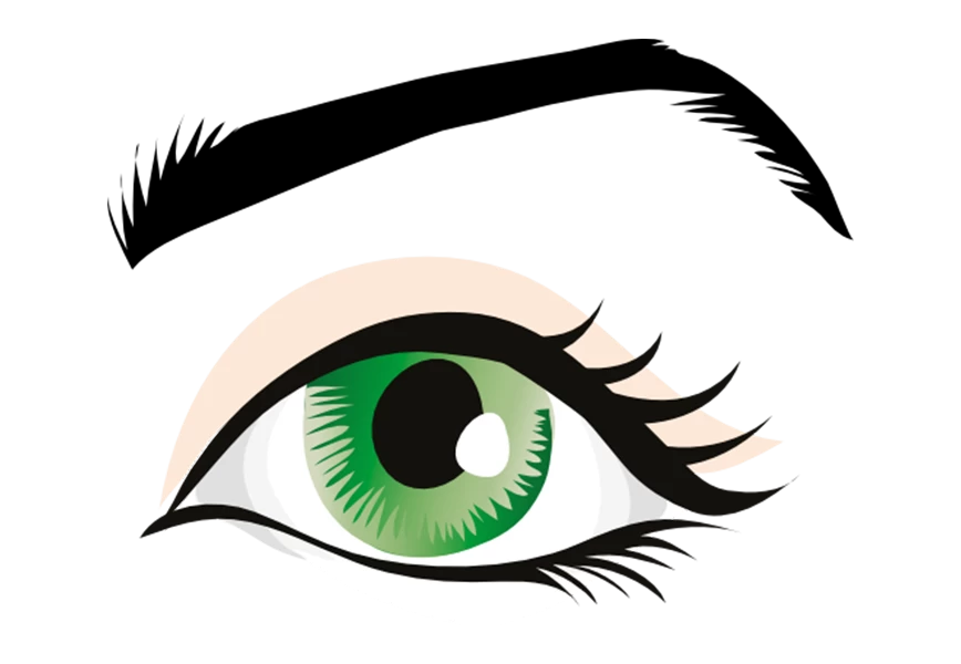 Free Premium PNG female eyes. hand drawn illustration on transparent background