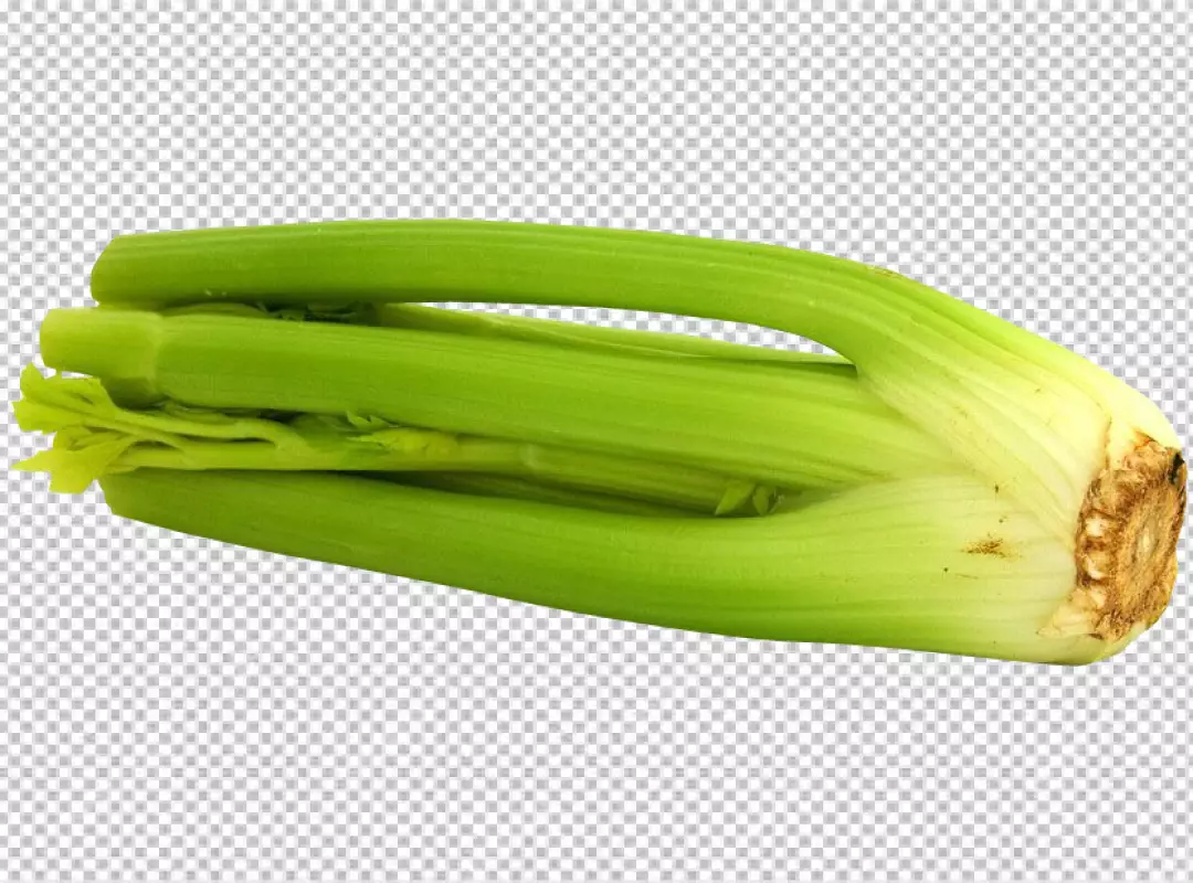 Free Premium PNG celery transparent background PNG