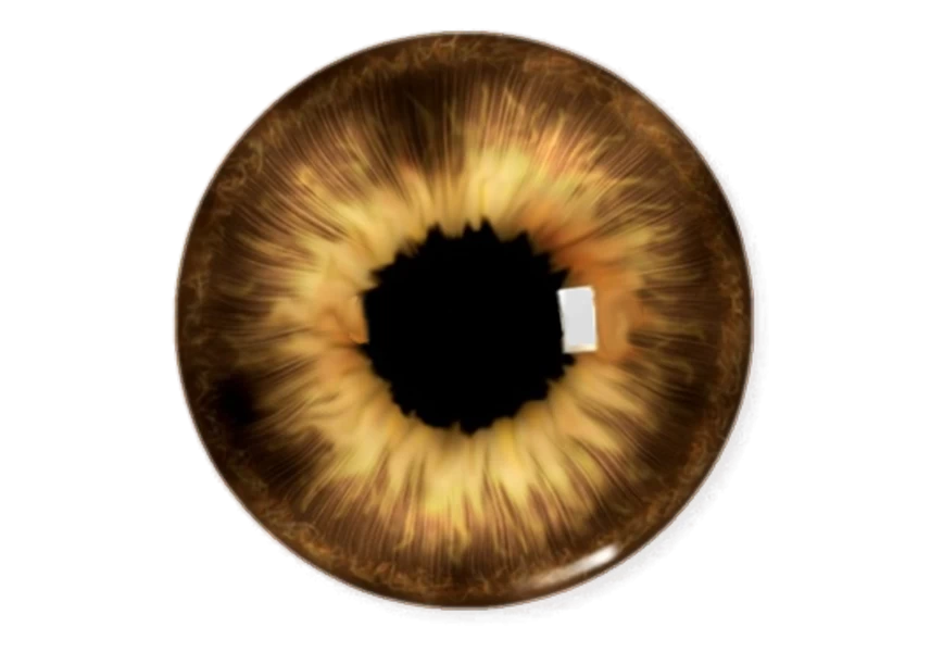 Free Premium PNG Human eyes 3d png