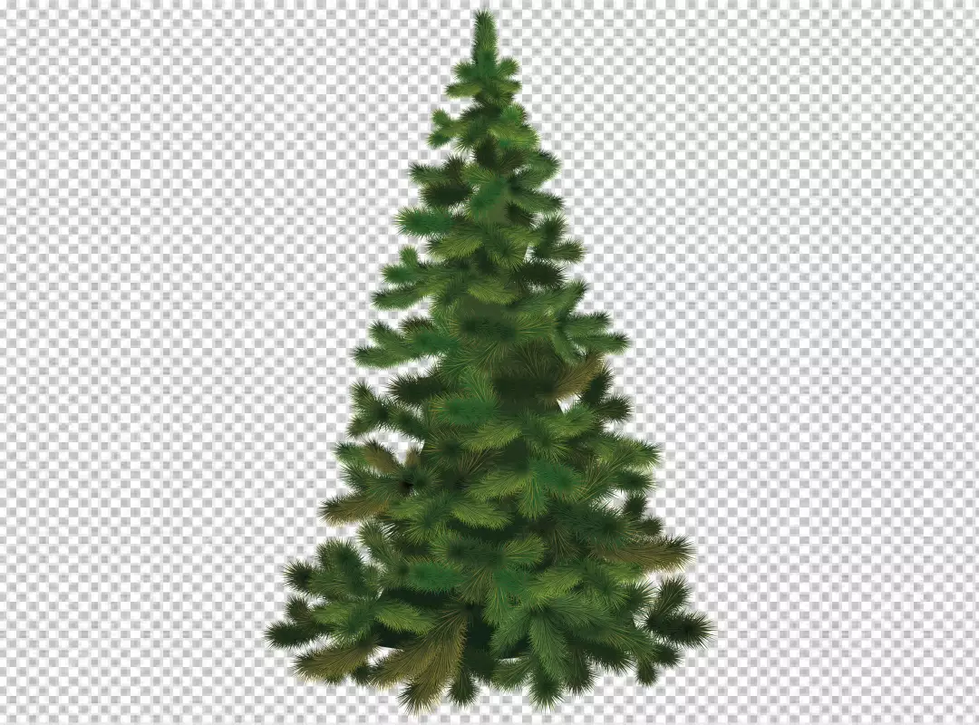 Free Premium PNG Lovely christmas tree collection with realistic design PNG