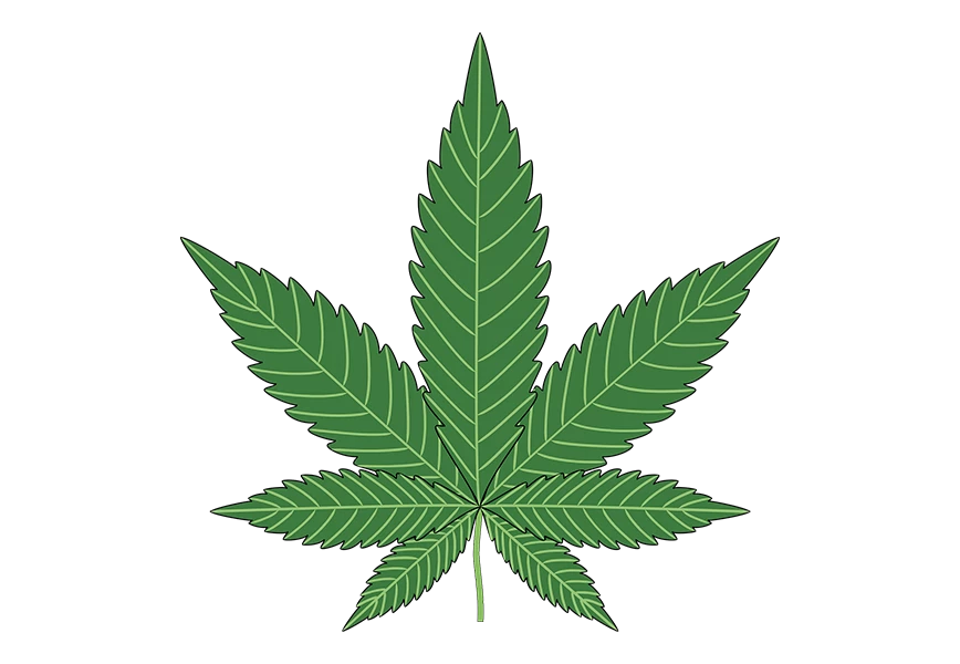 Free Premium PNG Cannabis leaf on a transparent background