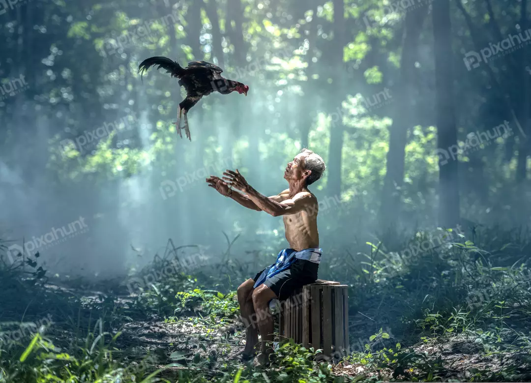 Free Premium Stock Photos Old man in a loincloth sitting on a wooden crate in the middle of a forest and looking up at a rooster that is flying in the air in front of him