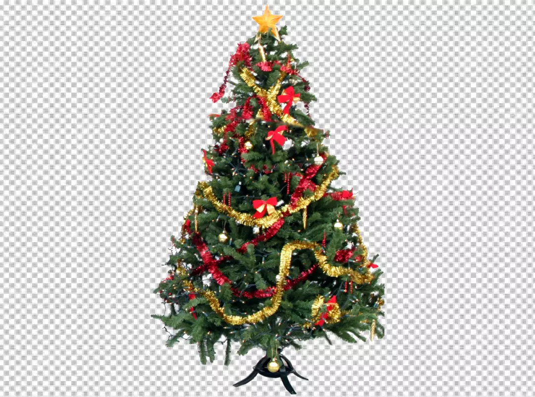 Free Premium PNG Festive evergreen delight sparkling yuletide symbol PNG