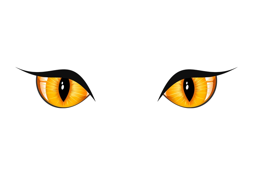 Free Premium PNG Girl anime eyes vector Anime eyes expression PNG