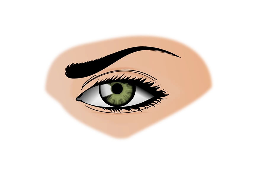 Free Premium PNG Bright eye makeup and eyebrow shaping