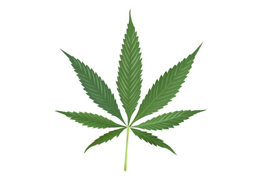 Free Premium PNG Cannabis png