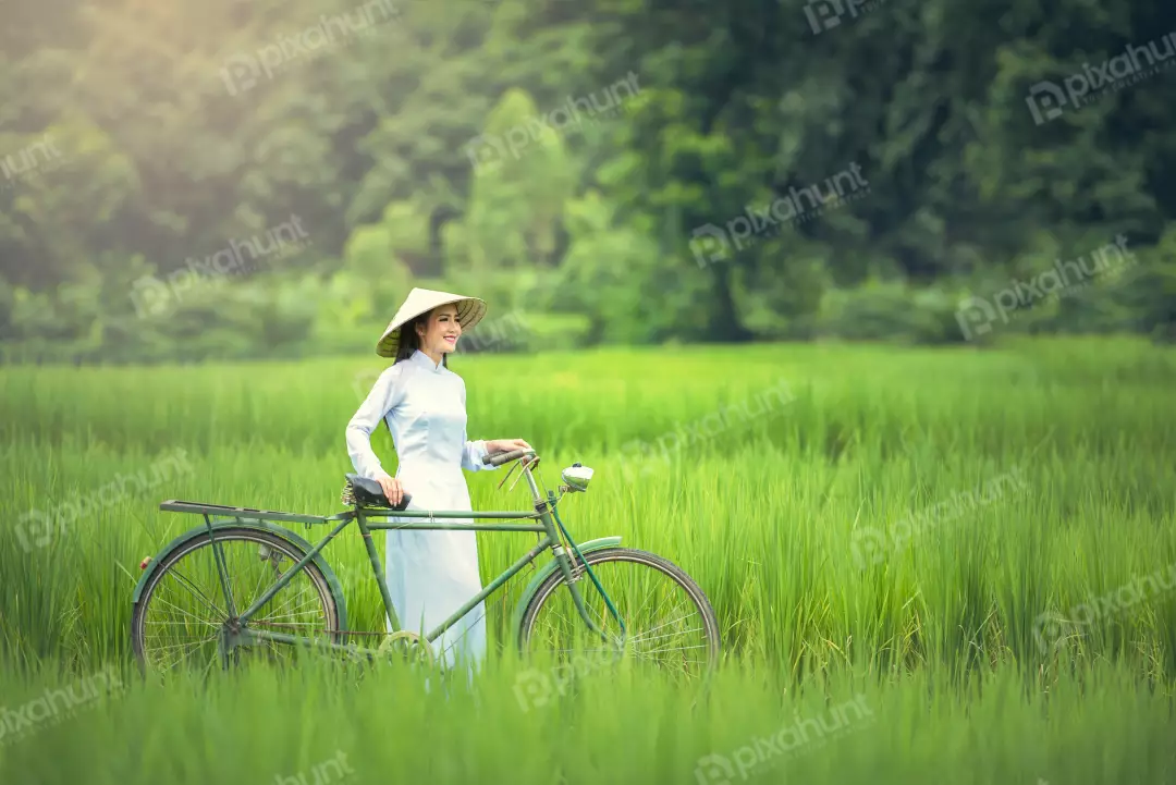 Free Premium Stock Photos A woman in white dress standing in a green rice field And wearing a traditional Vietnamese conical hat and is holding a bicycle