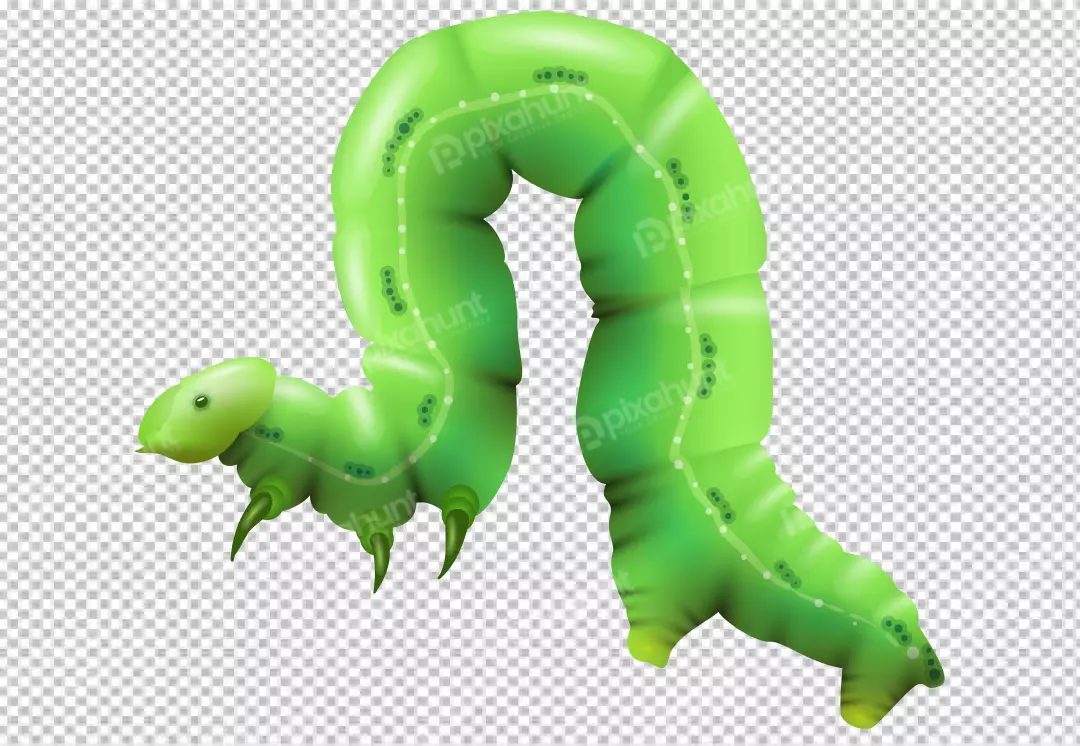 Free Premium PNG Green Caterpillar working