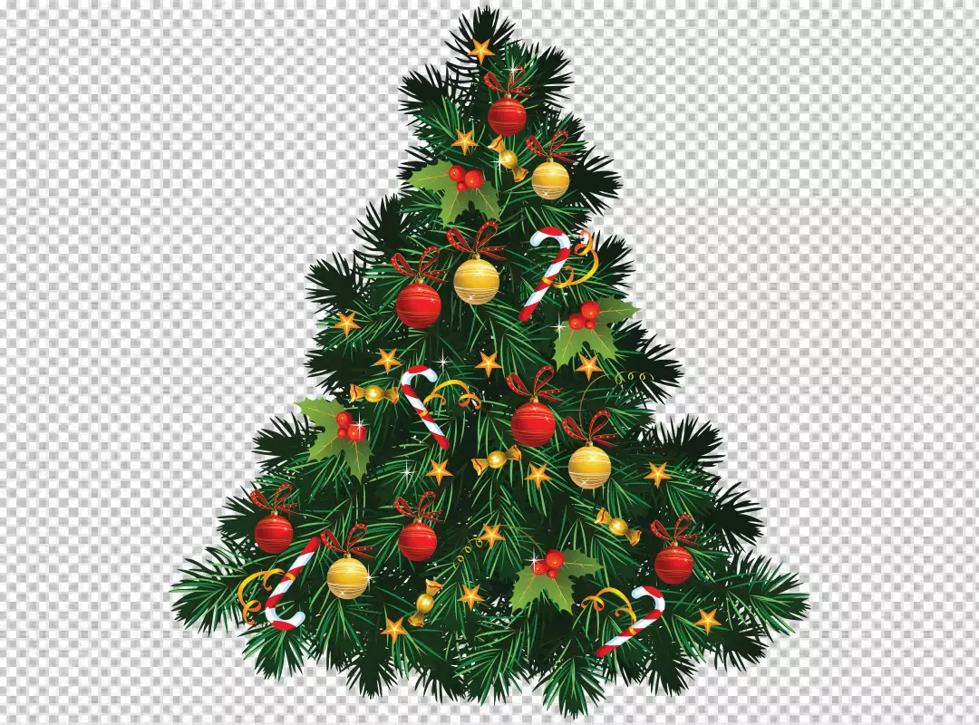 Free Premium PNG A christmas tree with a star on it isolated