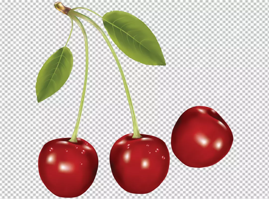 Free Premium PNG 3d cherry isolated on transparent background PNG