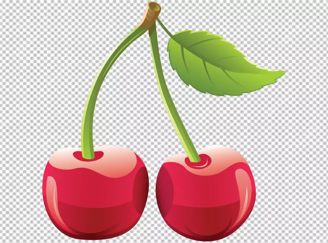 Free Premium PNG Cherry image on a PNG background