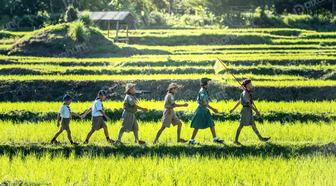 Free Premium Stock Photos A group of children walking in a line through a grassy field and wearing green and khaki uniforms also carrying flags