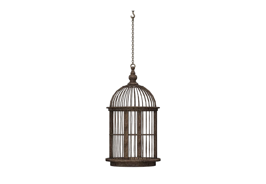 Free Premium PNG Birdcage sitting  transparent background Horizontal composition