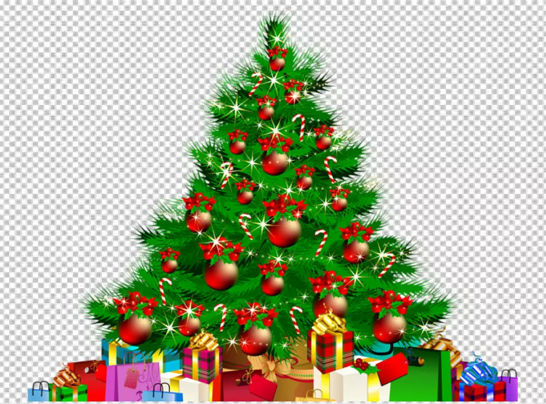 Free Premium PNG Christmas tree  vector PNG