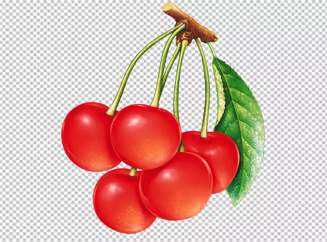 Free Premium PNG Big cherry on PNG background with green leaf