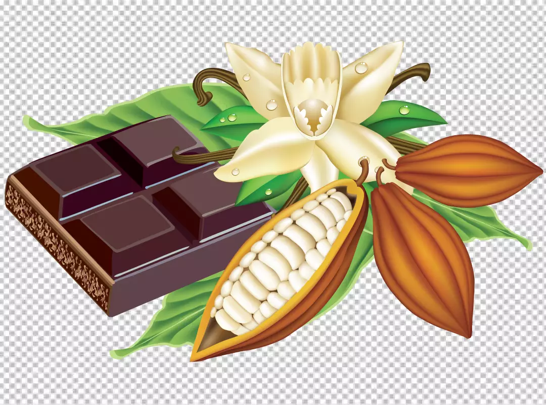 Free Premium PNG Close up on delicious chocolate bar pieces transparent background 