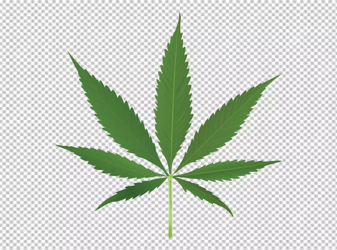 Free Premium PNG Thug Life Weed Leaf