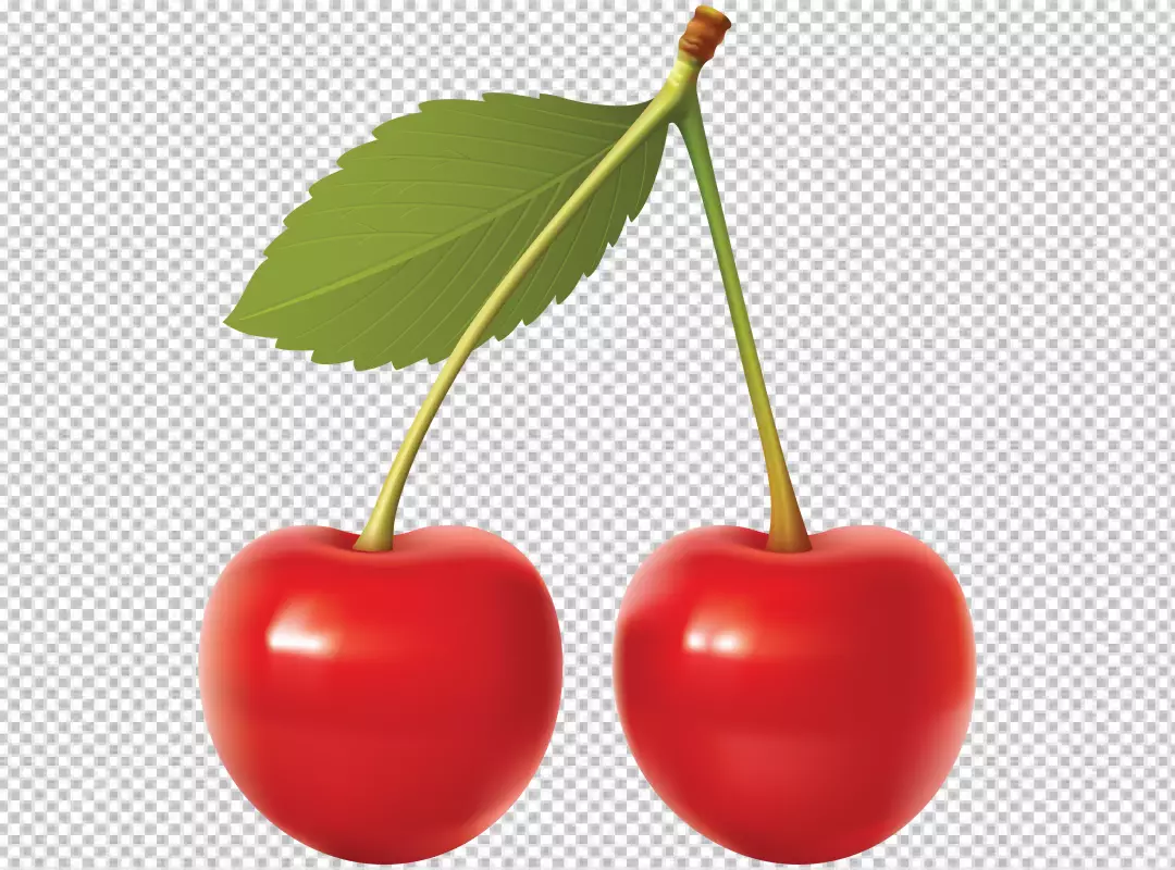 Free Premium PNG Two realistic vector cherries with Leaf isolated on PNG