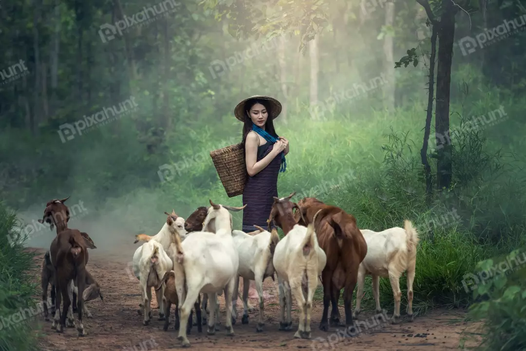 Free Premium Stock Photos A girl in a rural setting and wearing a traditional Vietnamese conical hat and is carrying a basket on her shoulder